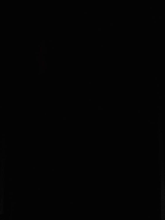 image.thumb.jpeg.794db120c497e0919125d28cbfb5558f.jpeg