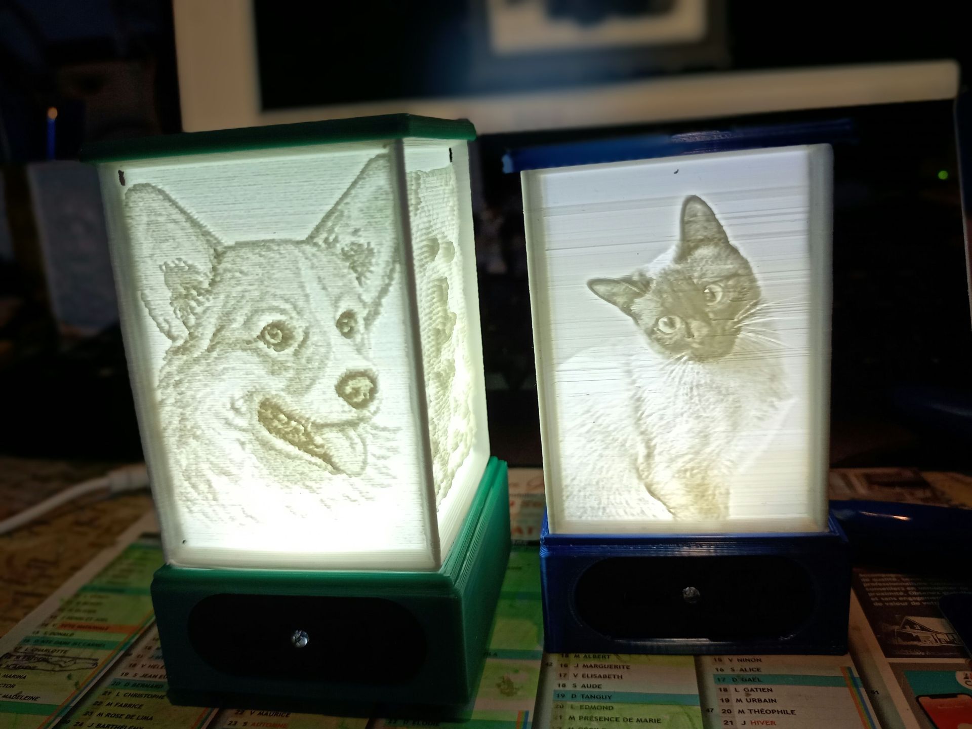 Mes réalisations avec l'imprimante Lotmaxx Shark C10 v2