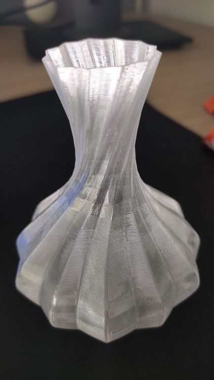 Image_X4Pro-TPUvase.thumb.jpg.5867c4597ae5d9ff6b56e2ab9c29e52e.jpg