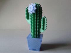 "Cactus Kit card" de "A2S dESING"