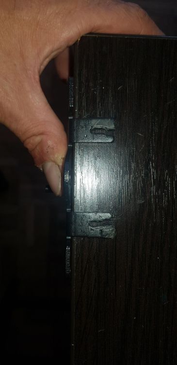 unnamed.thumb.jpg.1a337f5d0df6139c33b405ff597b4a34.jpg