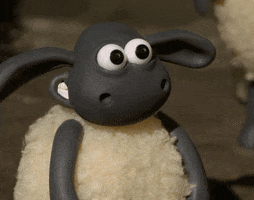 mouton-plus.gif.ebfd5028c083d4a41e7ed3f1f92f0ee2.gif