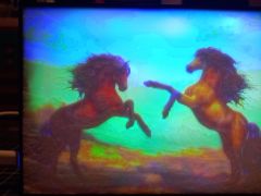 IMG_20240727_145331213.jpg