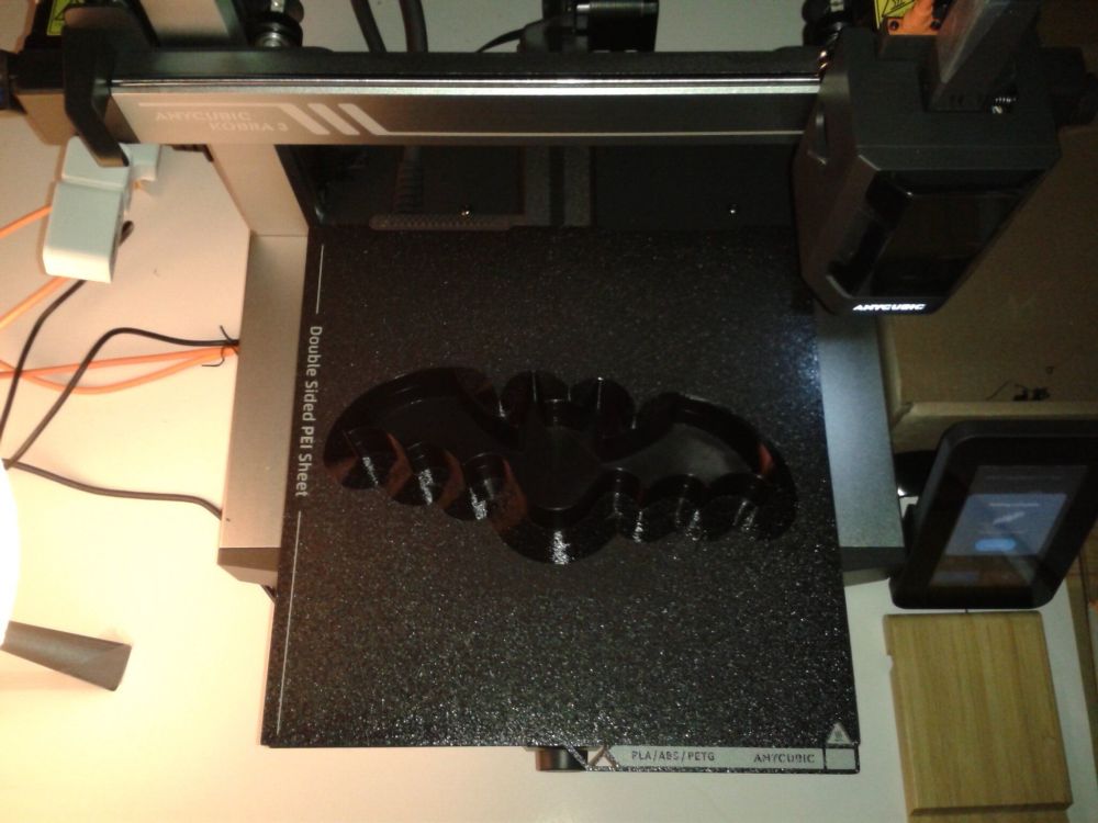 IMG_20240820_180245_q85_.thumb.jpg.c4d31a6593a4e737d7b6fc7c49a57ec4.jpg