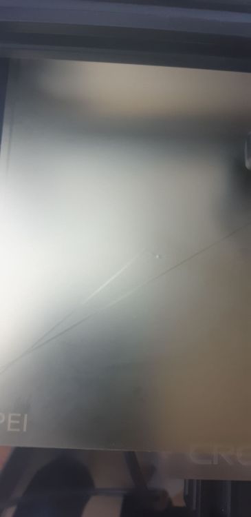 20240915_171624.thumb.jpg.21288cee03a07b6e49ac17476785a1b9.jpg