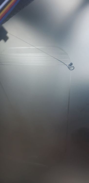 20240915_173453.thumb.jpg.f14f7f7420f58e9e9c2eac487b70f929.jpg