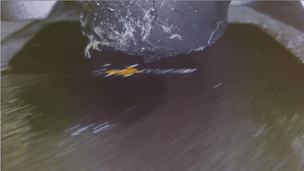 46119422_tagged.gif.be880a4010e2fcbd6497d56bf918c32a.gif