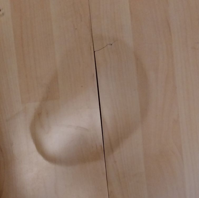 image.thumb.jpeg.6b3040dc71ad45005ea693f930a4b69c.jpeg