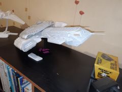 IMG_20241119_182034.jpg