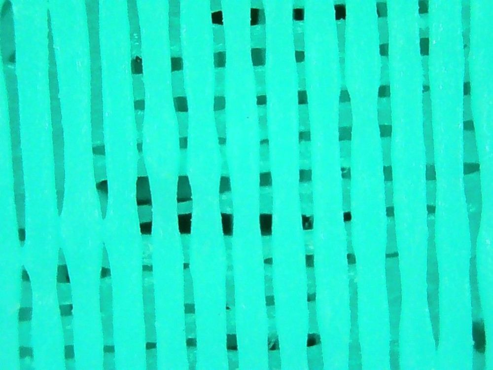 PHO00003.thumb.JPG.cafb112de33d8104526ace60f48462c5.JPG