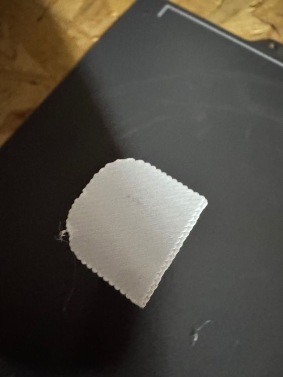 IMG_1316.thumb.jpeg.f3f72ce04f36591dc1a8ea69b15498d7.jpeg