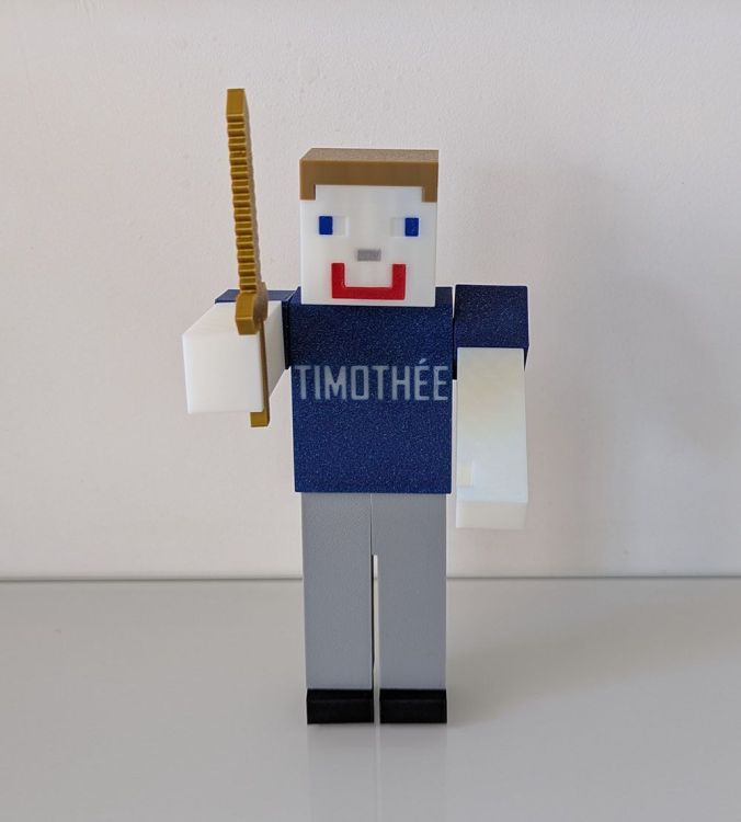 Minecraft personnalisé imprimé en 3D.jpg