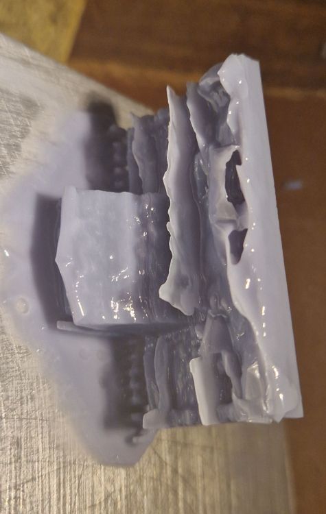 20250626_073222.jpg