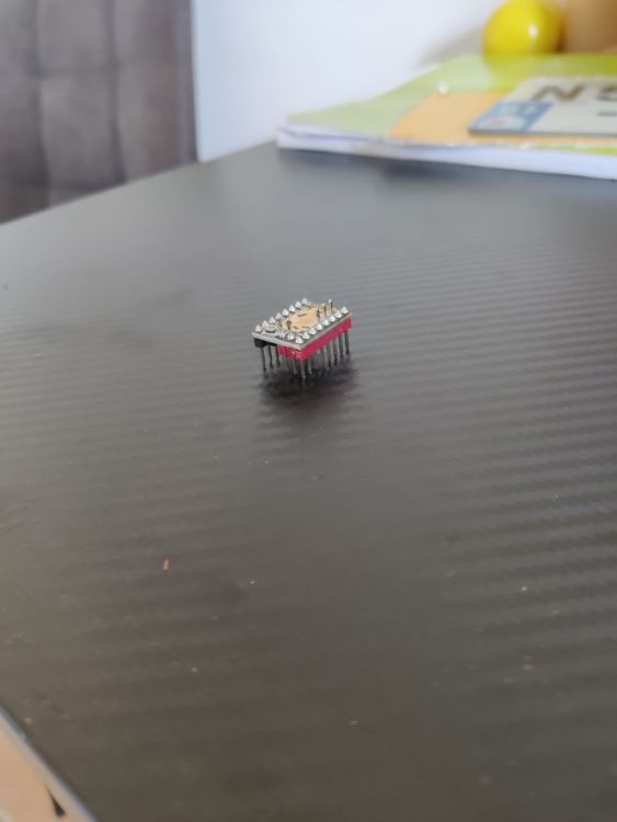 1000002239.jpg