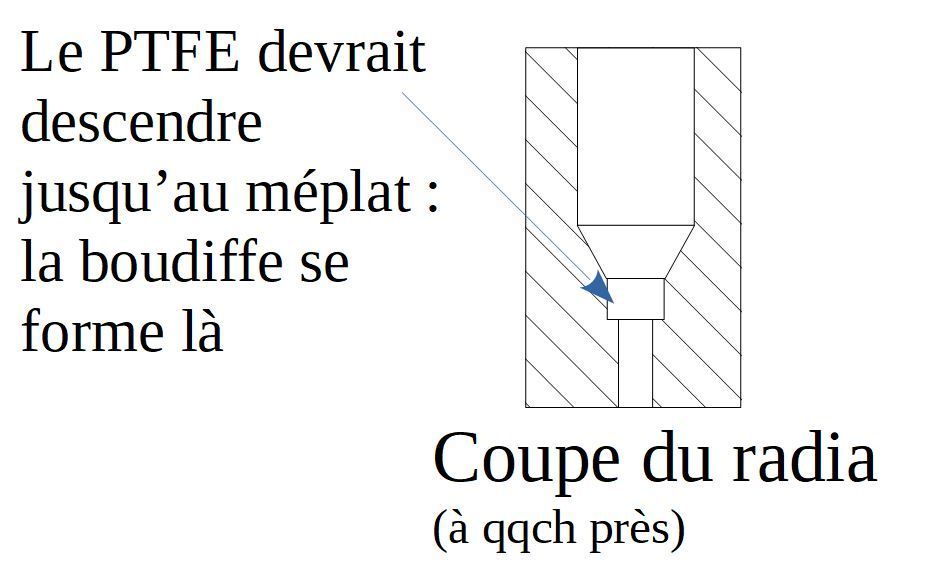 Couperadia.JPG.aad1d9d696123ebad56eecca64975360.JPG