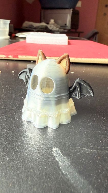 WhatsApp Image 2025-11-10 at 11.44.46.jpeg