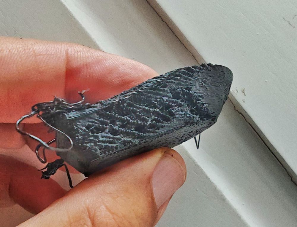 WhatsApp Image 2025-12-04 at 11.01.11.jpeg