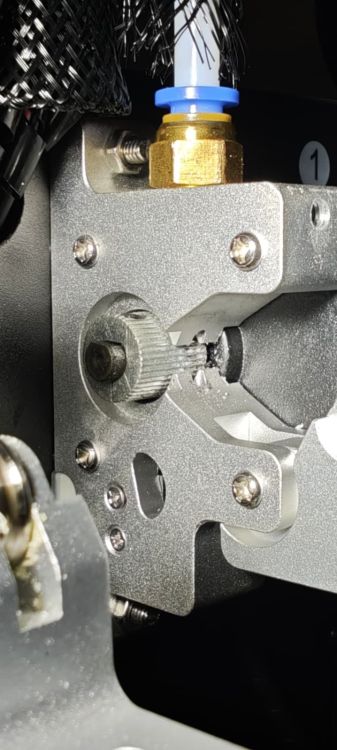 WhatsApp Image 2025-12-09 at 10.25.45.jpeg