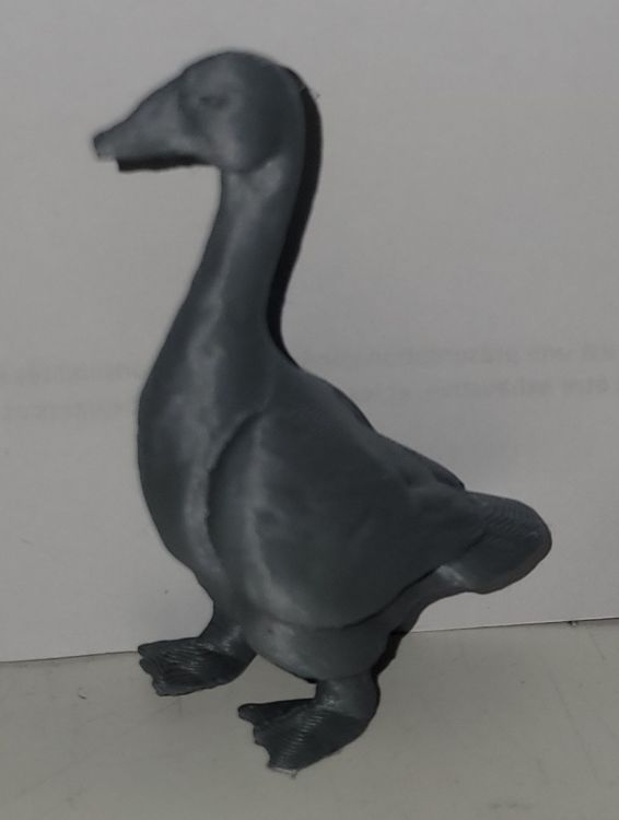 le 23 décembre 2025 (3).jpg