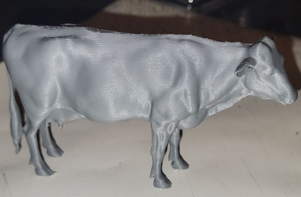 le 23 décembre 2025 (5).jpg