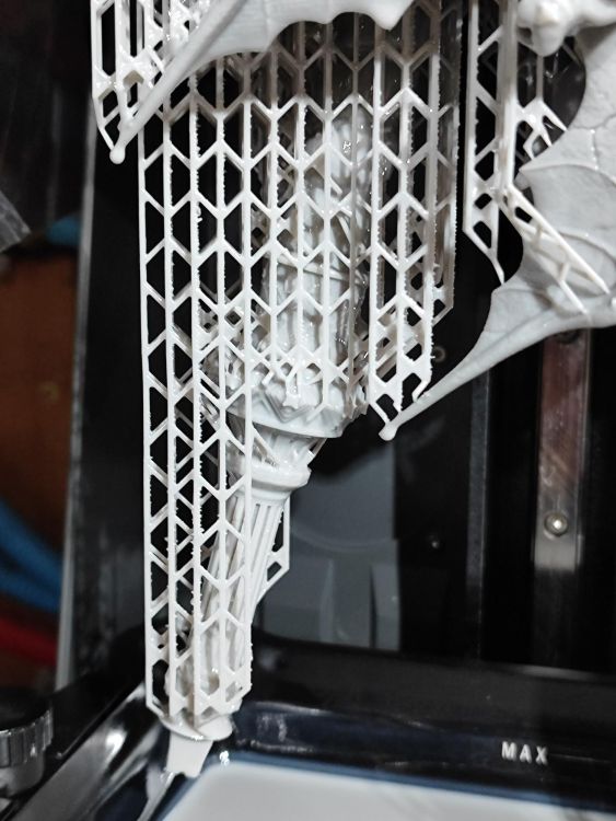 shared image (6).jpg