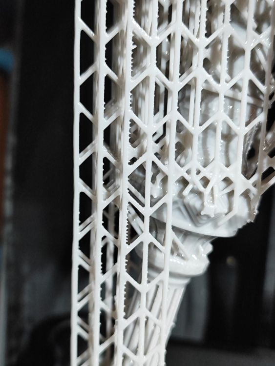 shared image (7).jpg