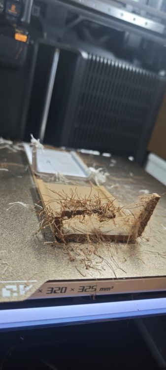 WhatsApp Image 2026-03-05 at 11.13.56.jpeg