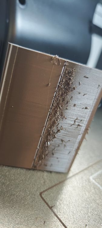 WhatsApp Image 2026-03-12 at 10.10.18 (1).jpeg