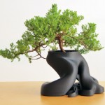 Pot de fleur pour bonsai