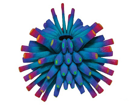 Système nerveux imprimé en 3D avec la ProJet® 4500