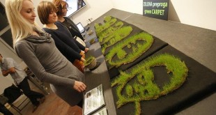 impression 3D herbe jardin