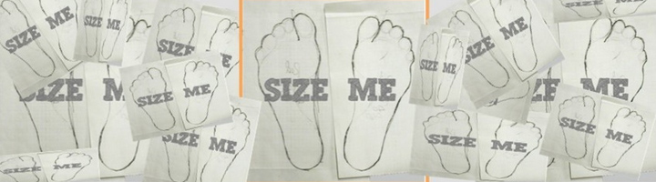 scan 3D pied
