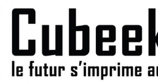 logo cubeek3D