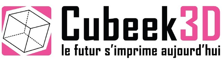 logo cubeek3D