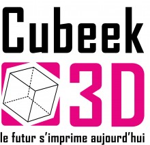 Cubeek3D futur