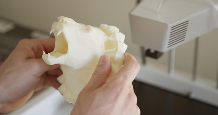 Tête de lion imprimée avec l'imprimante 3D MOD-t