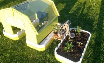 Potager bot2karot