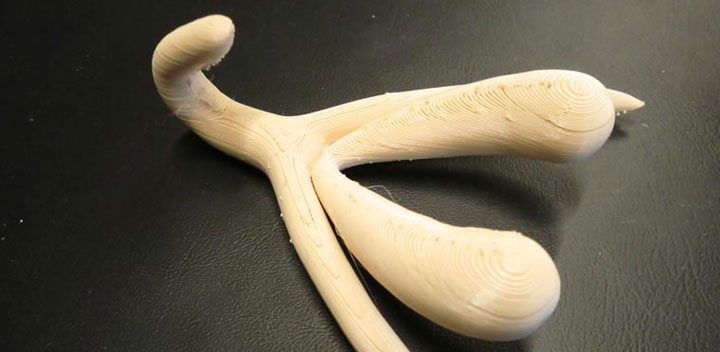 clitoris imprimé en 3D cours éducation sexuelle France
