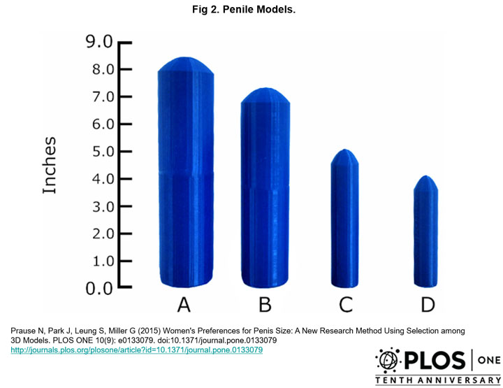 sondage penis 3D sex toy impression 3D