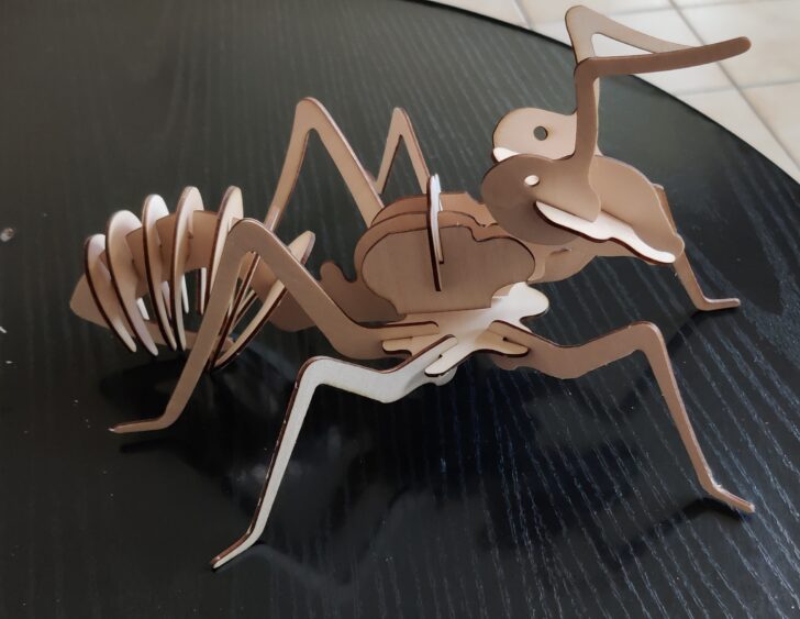 fourmi gravée en 3D