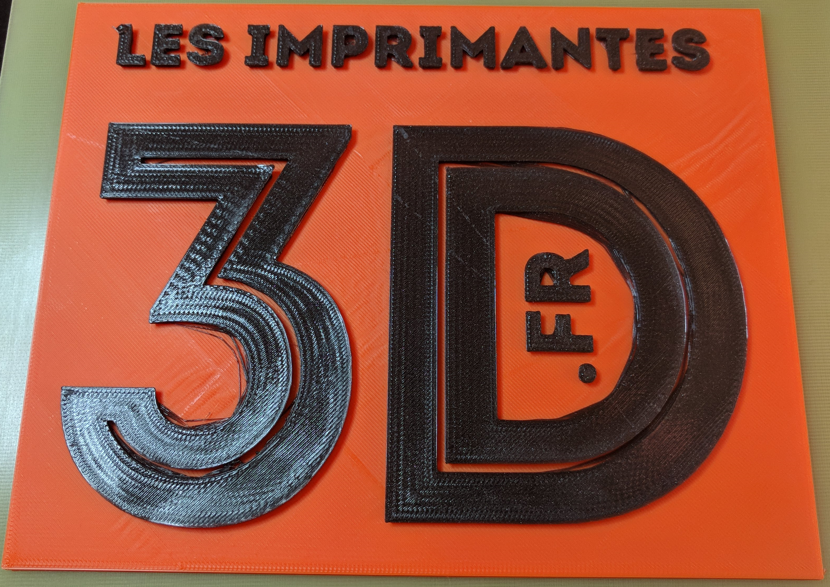 logo lesimprimantes3d.fr imprimé en 3D
