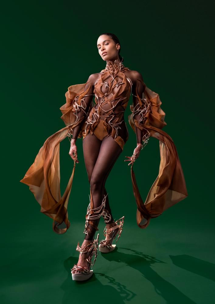 robe cacao 3d Iris Van Herpen