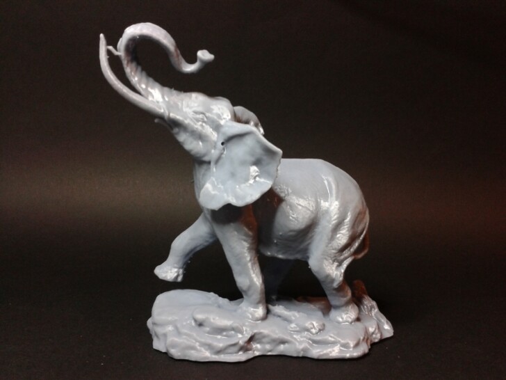 test print elephant 3D MSLA Photon Mono X2 photo