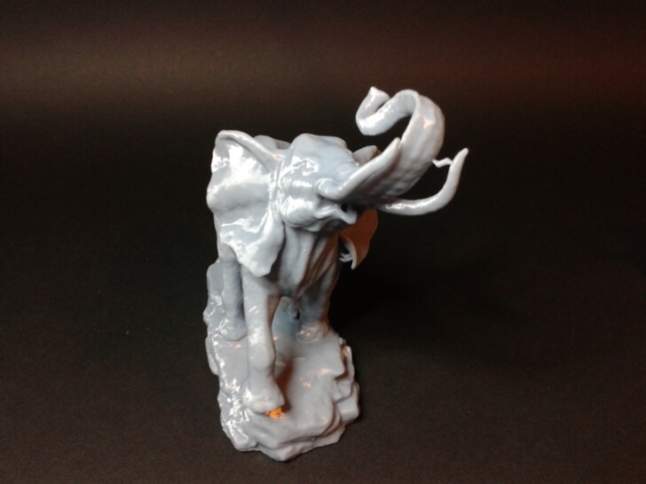 test print elephant 3D MSLA Photon Mono X2