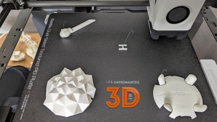 tortue articulée imprimée en 3D