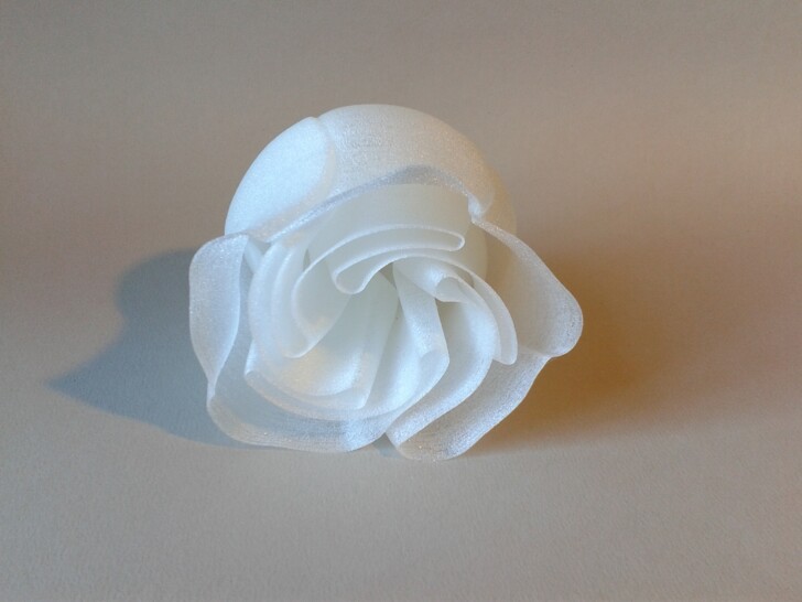 photo impression 3D rose TPU blanc