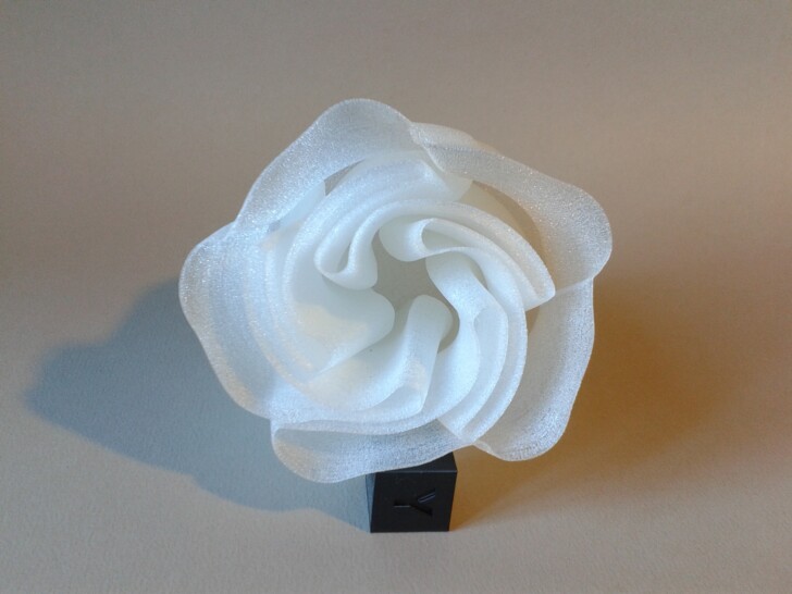 photo impression 3D rose TPU blanc