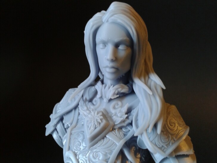 test BUST - Elf Fey Paladin Celathyn