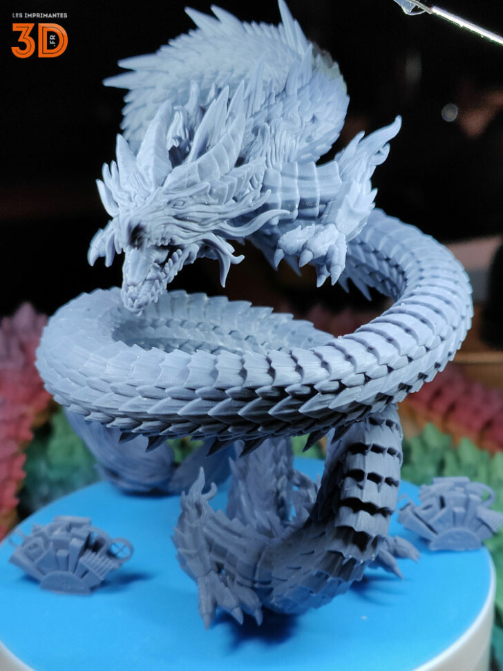 Phrozen Sonic Mighty 8K print dragon