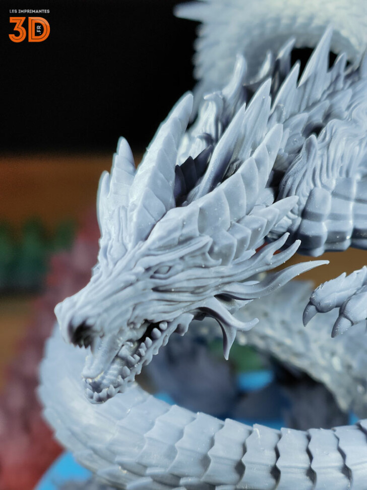 Phrozen Sonic Mighty 8K print dragon